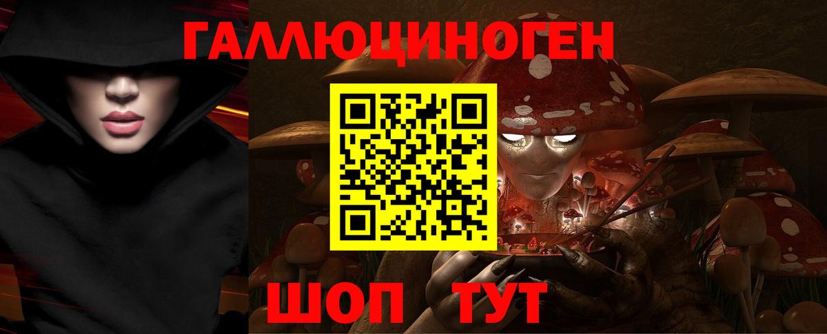 Серов  Псилоцибиновые грибы Psilocybine cubensis  Вход с VPN 